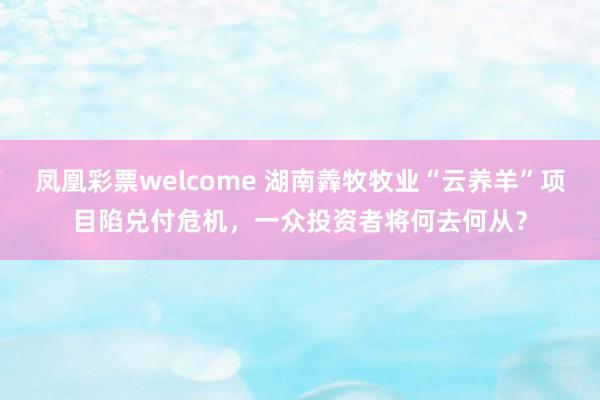 凤凰彩票welcome 湖南羴牧牧业“云养羊”项目陷兑付危机,一众投资者将何去何从?