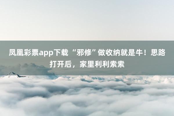 凤凰彩票app下载 “邪修”做收纳就是牛！思路打开后，家里利利索索