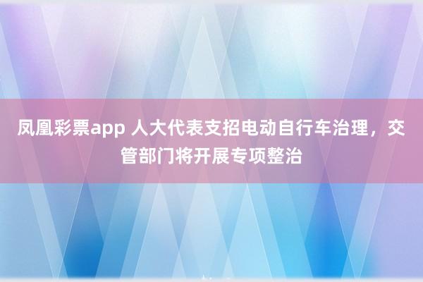 凤凰彩票app 人大代表支招电动自行车治理,交管部门将开展专项整治