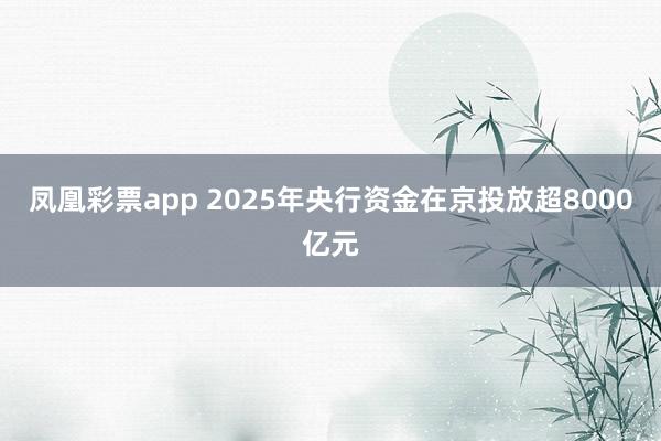 凤凰彩票app 2025年央行资金在京投放超8000亿元