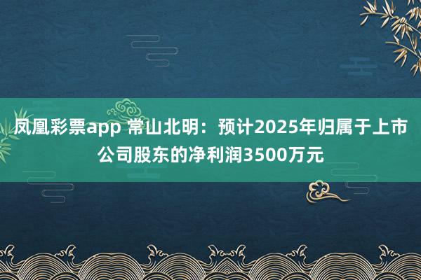 凤凰彩票app 常山北明:预计2025年归属于上市公司股东的净利润3500万元