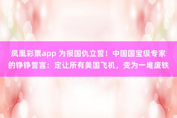 凤凰彩票app 为报国仇立誓!中国国宝级专家的铮铮誓言:定让所有美国飞机,变为一堆废铁