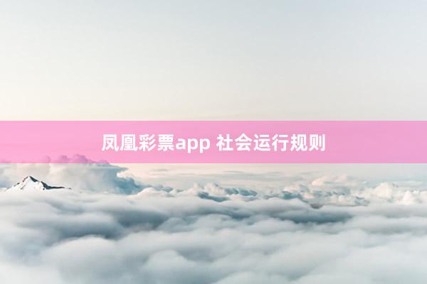 凤凰彩票app 社会运行规则
