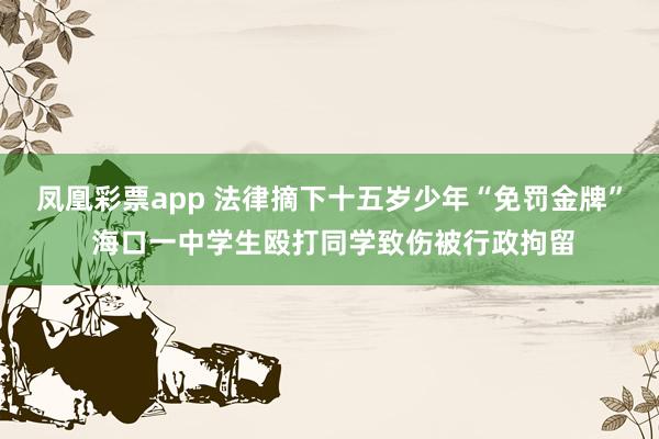 凤凰彩票app 法律摘下十五岁少年“免罚金牌” 海口一中学生殴打同学致伤被行政拘留