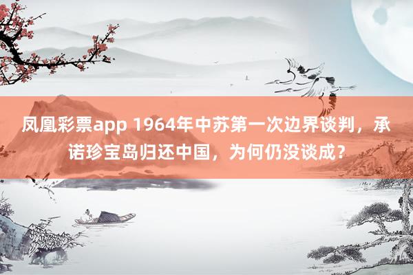 凤凰彩票app 1964年中苏第一次边界谈判，承诺珍宝岛归还中国，为何仍没谈成？