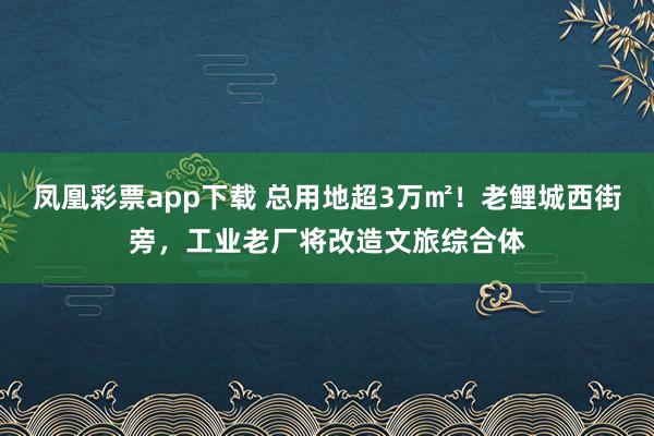 凤凰彩票app下载 总用地超3万㎡!老鲤城西街旁,工业老厂将改造文旅综合体