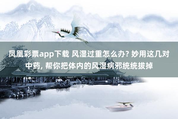 凤凰彩票app下载 风湿过重怎么办? 妙用这几对中药， 帮你把体内的风湿病邪统统拔掉