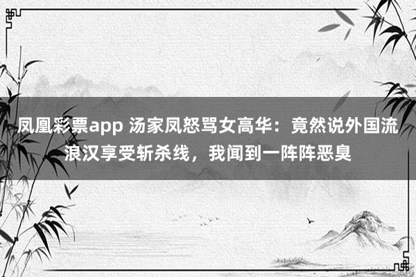 凤凰彩票app 汤家凤怒骂女高华：竟然说外国流浪汉享受斩杀线，我闻到一阵阵恶臭