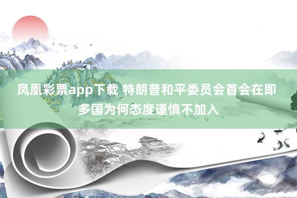 凤凰彩票app下载 特朗普和平委员会首会在即 多国为何态度谨慎不加入