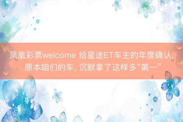 凤凰彩票welcome 给星途ET车主的年度确认, 原本咱们的车, 沉默拿了这样多“第一”