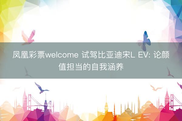 凤凰彩票welcome 试驾比亚迪宋L EV: 论颜值担当的自我涵养