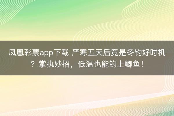 凤凰彩票app下载 严寒五天后竟是冬钓好时机?掌执妙招,低温也能钓上鲫鱼!