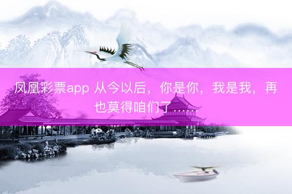 凤凰彩票app 从今以后,你是你,我是我,再也莫得咱们了……
