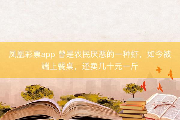 凤凰彩票app 曾是农民厌恶的一种虾，如今被端上餐桌，还卖几十元一斤